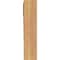 Ekena Millwork Funston Block Smooth Bracket, Western Red Cedar, 3 1/2"W x 16"D x 16"H BKT04X16X16FST05SWR - alternate 2
